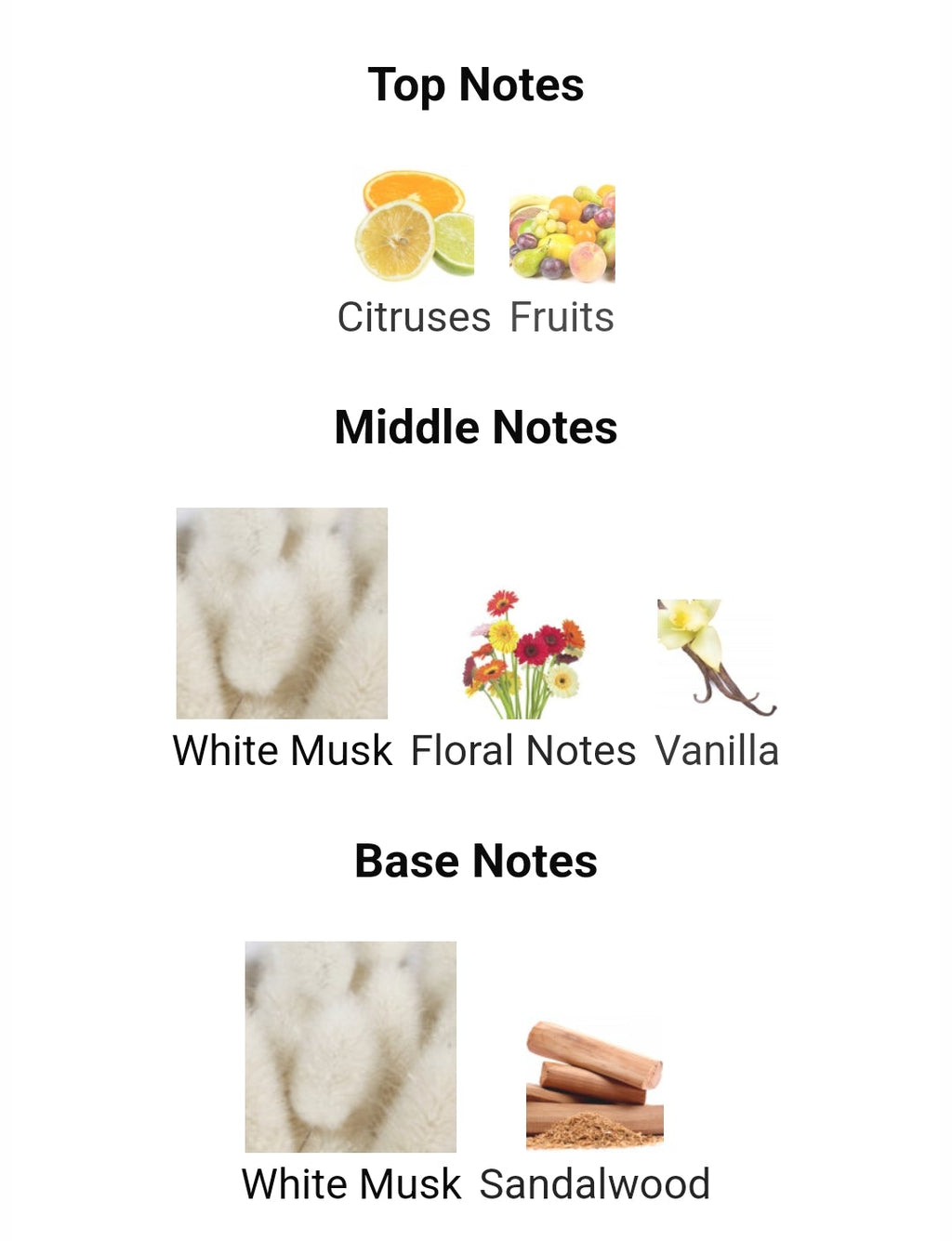 Lattafa Musk Mood 100ml